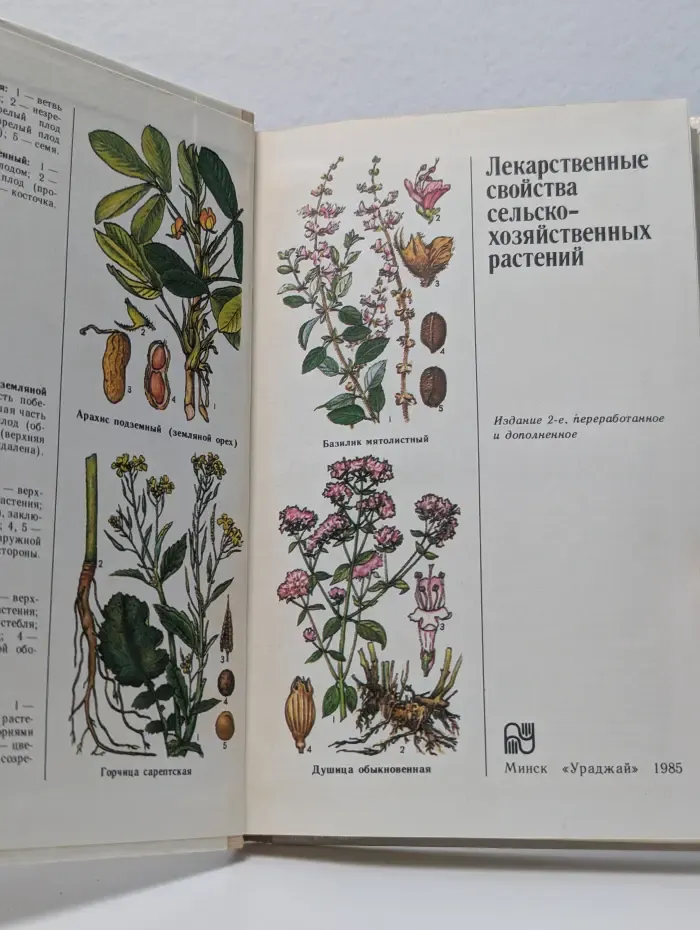 Лекарственные свойства сельскохозяйственных растений