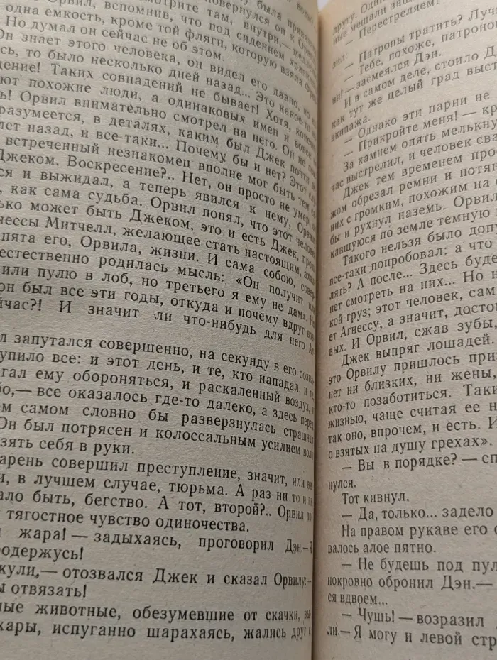 Агнесса. В 2 томах. Том 2