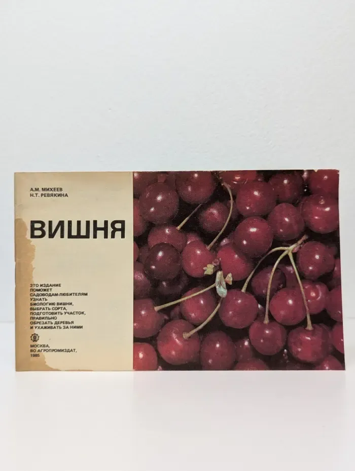 Вишня