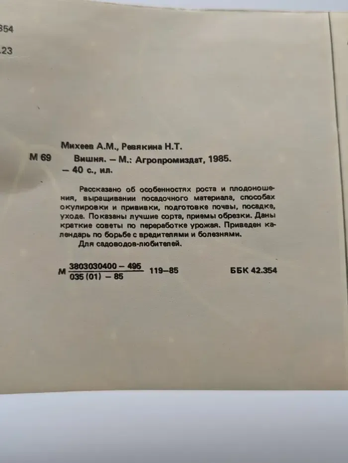 Вишня
