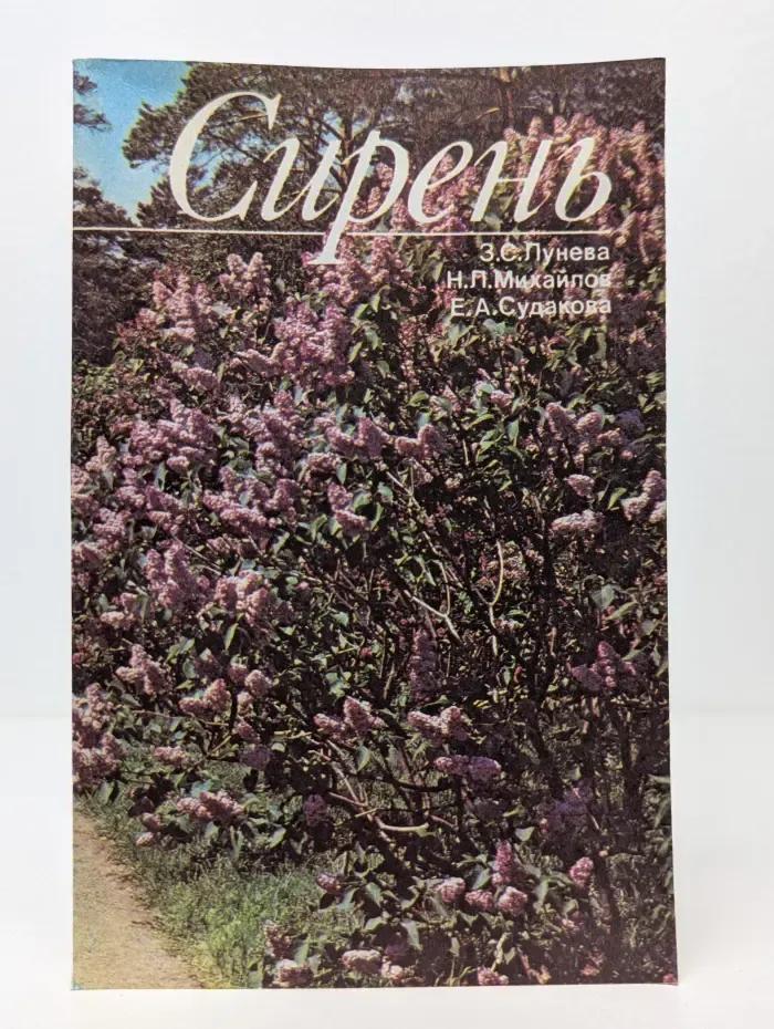 Сирень