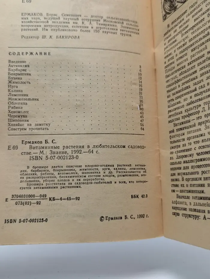 Витаминные растения в любительском садоводстве