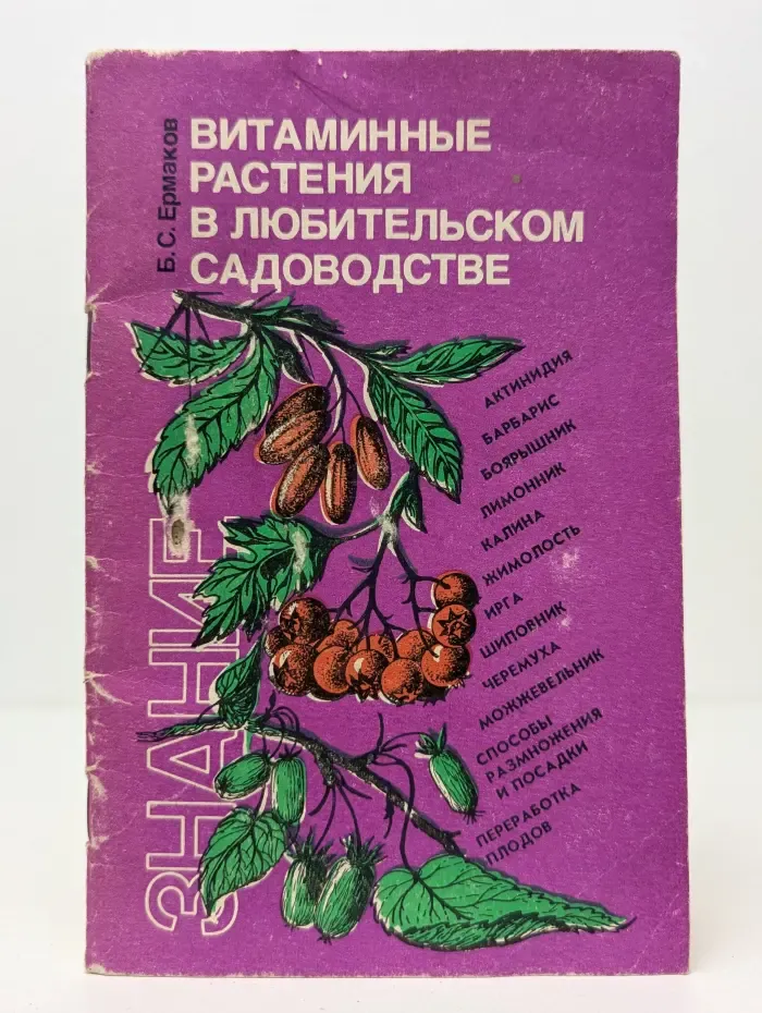 Витаминные растения в любительском садоводстве