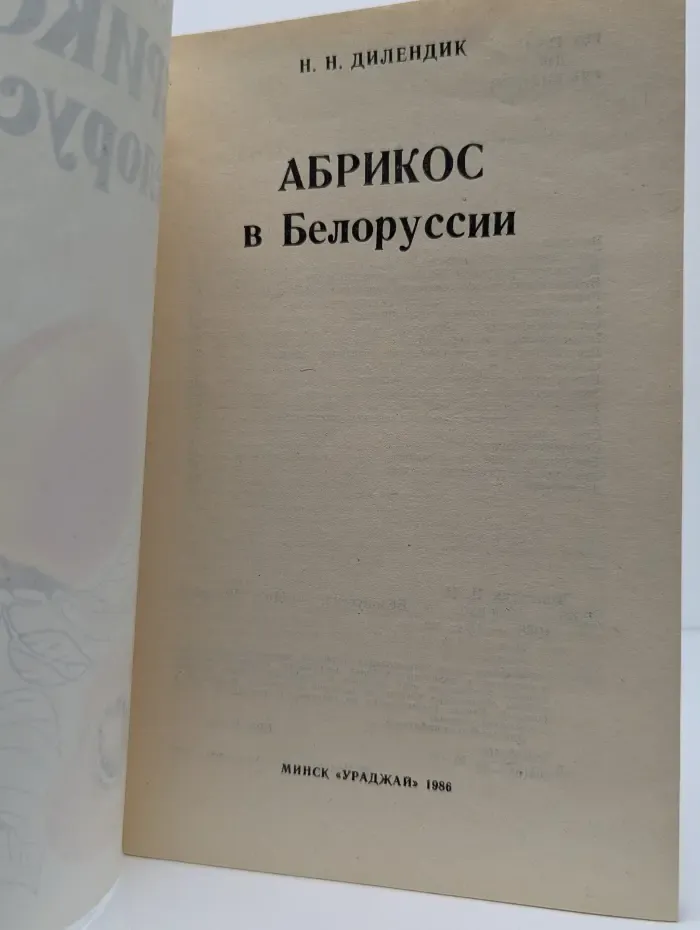 Абрикос в Белоруссии