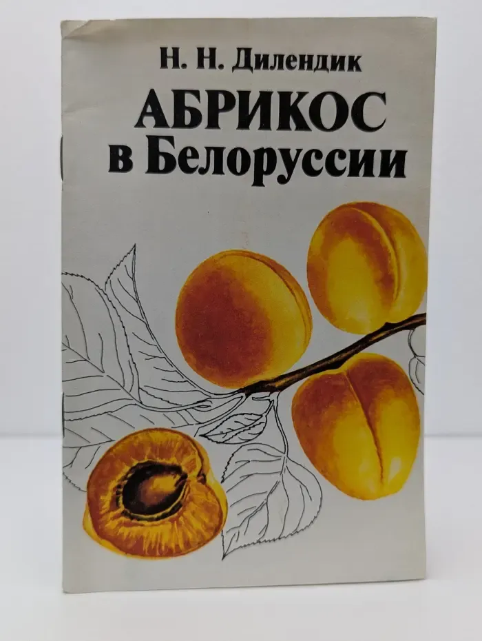 Абрикос в Белоруссии