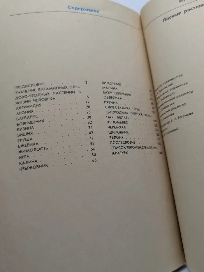 Лесные растения в вашем саду