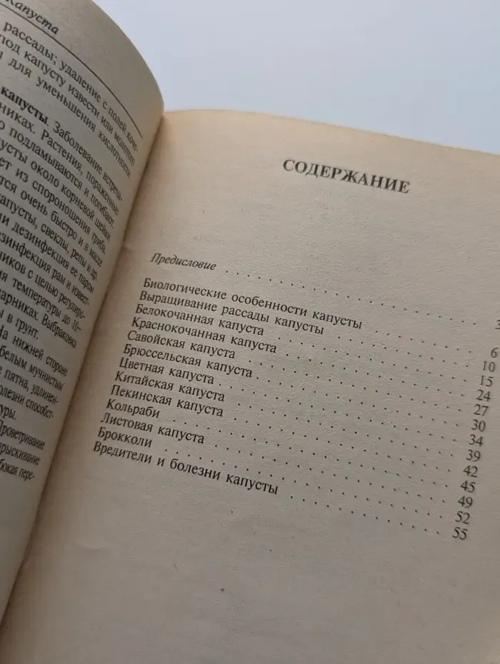 Капуста