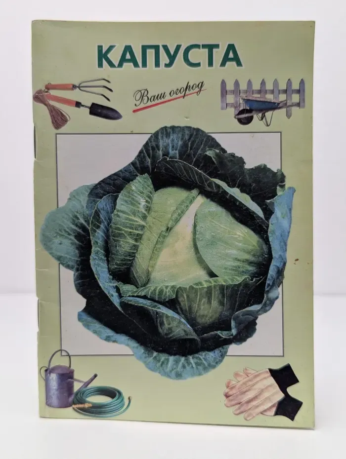 Капуста