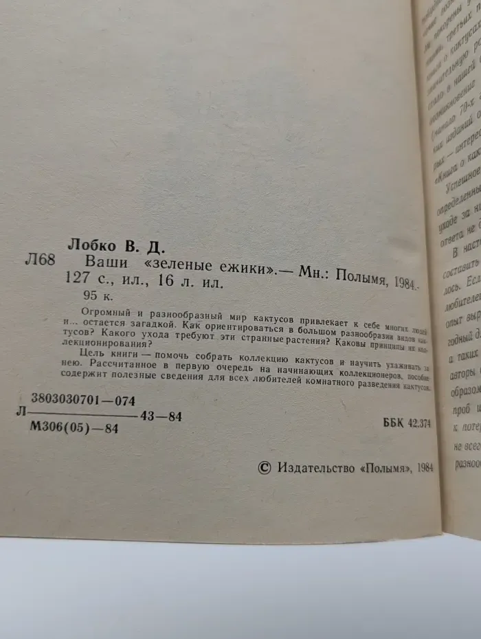 Ваши «зелёные ежики»