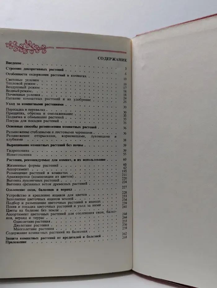 Цветы в комнате и на балконе