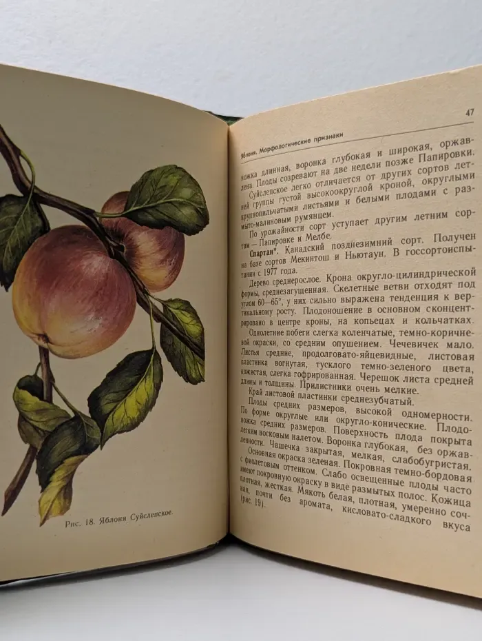 Сорта плодовых и ягодных культур Белорусской ССР