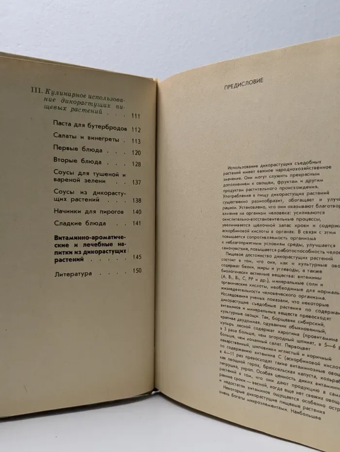 Дикорастущие пищевые растения