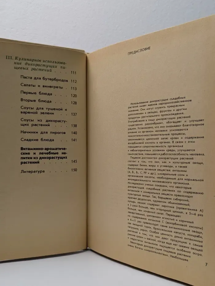 Дикорастущие пищевые растения
