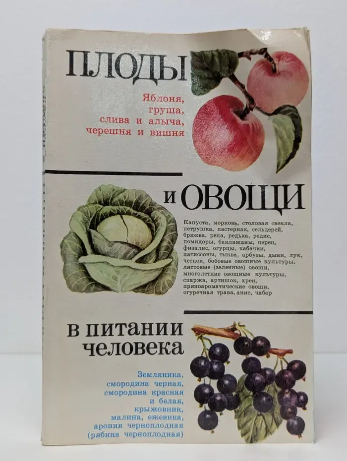 Плоды и овощи в питании человека