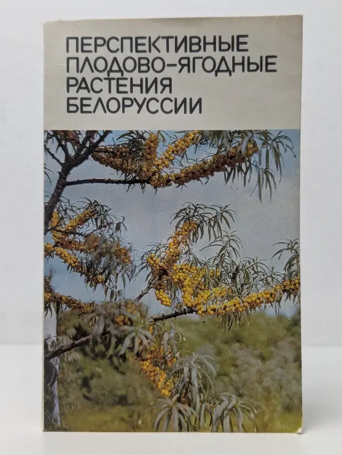 Перспективные плодово-ягодные растения Белоруссии