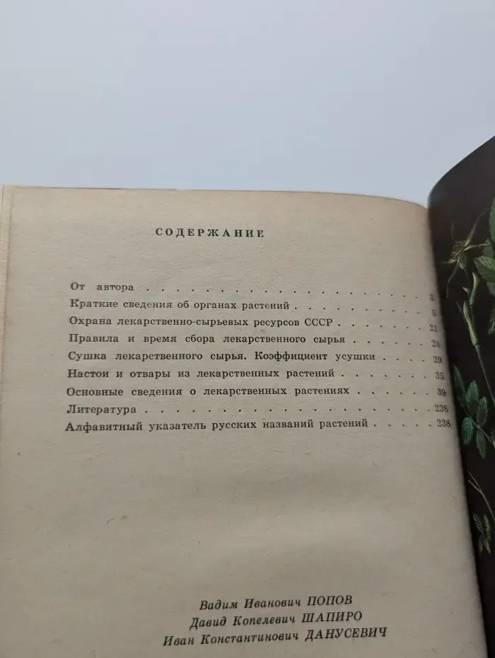 Лекарственные растения. Сбор, заготовка, применение