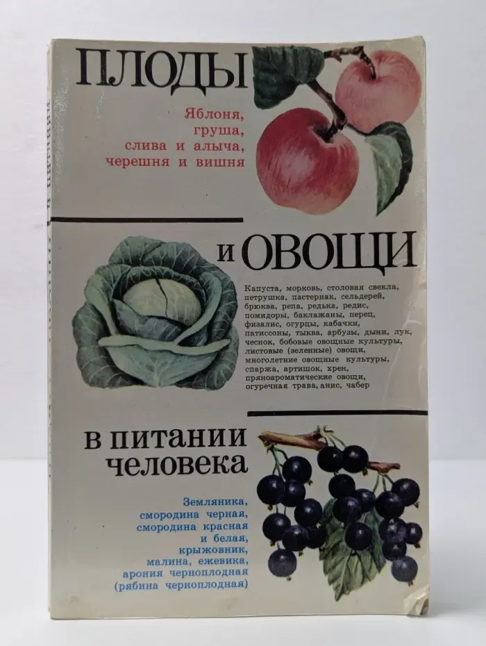 Плоды и овощи в питании человека