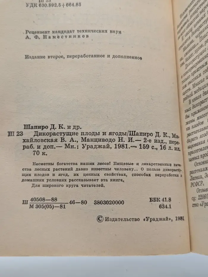 Дикорастущие плоды и ягоды