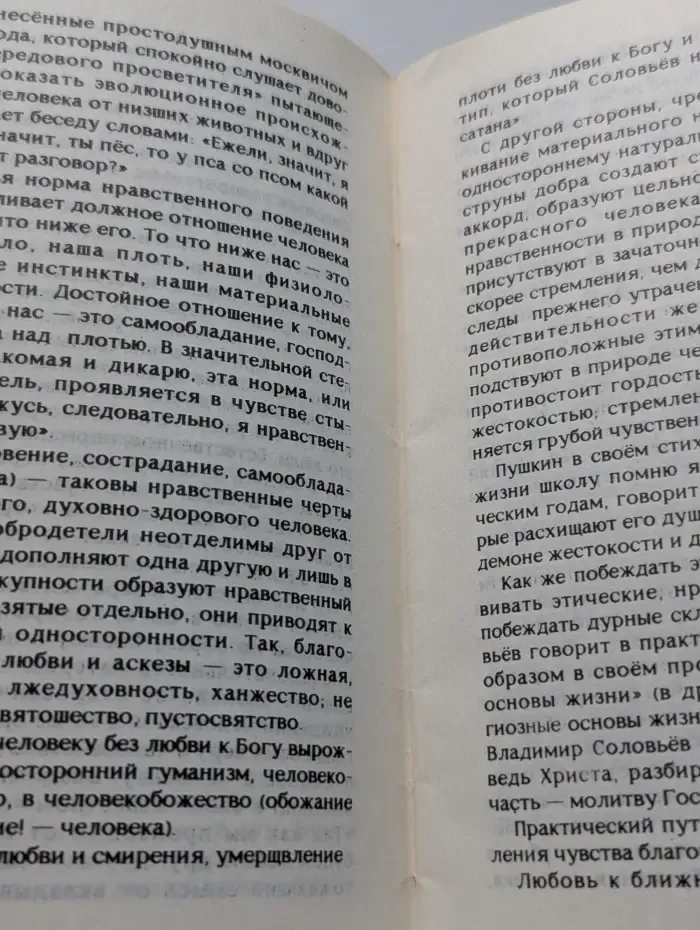 Владимир Соловьёв и Евангелие
