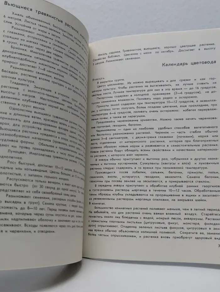 Цветы в твоем доме