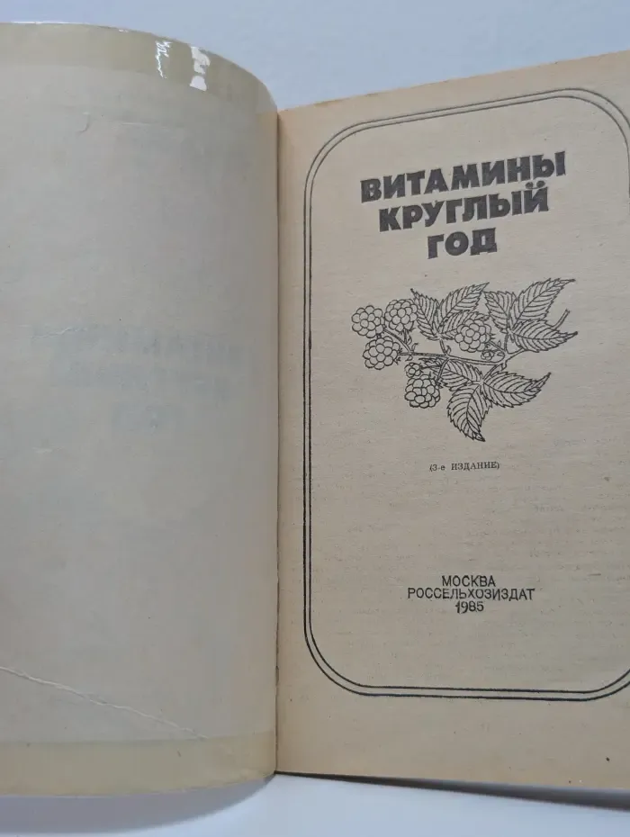Витамины круглый год