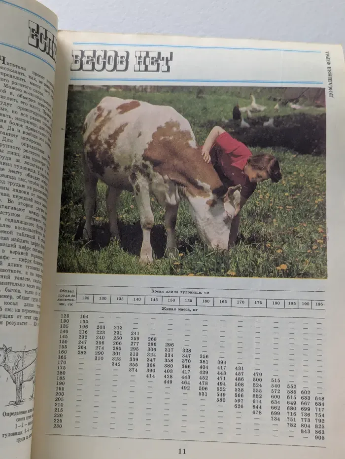Журнал "Приусадебное хозяйство" . Выпуск № 6/1989