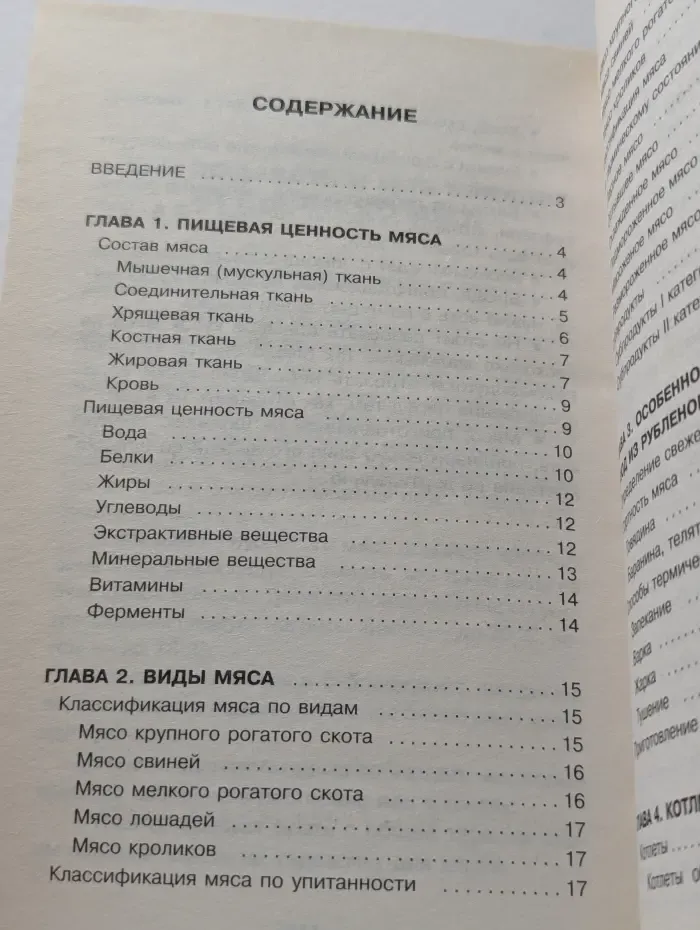Блюда из рубленого мяса. Праздничные и повседневные