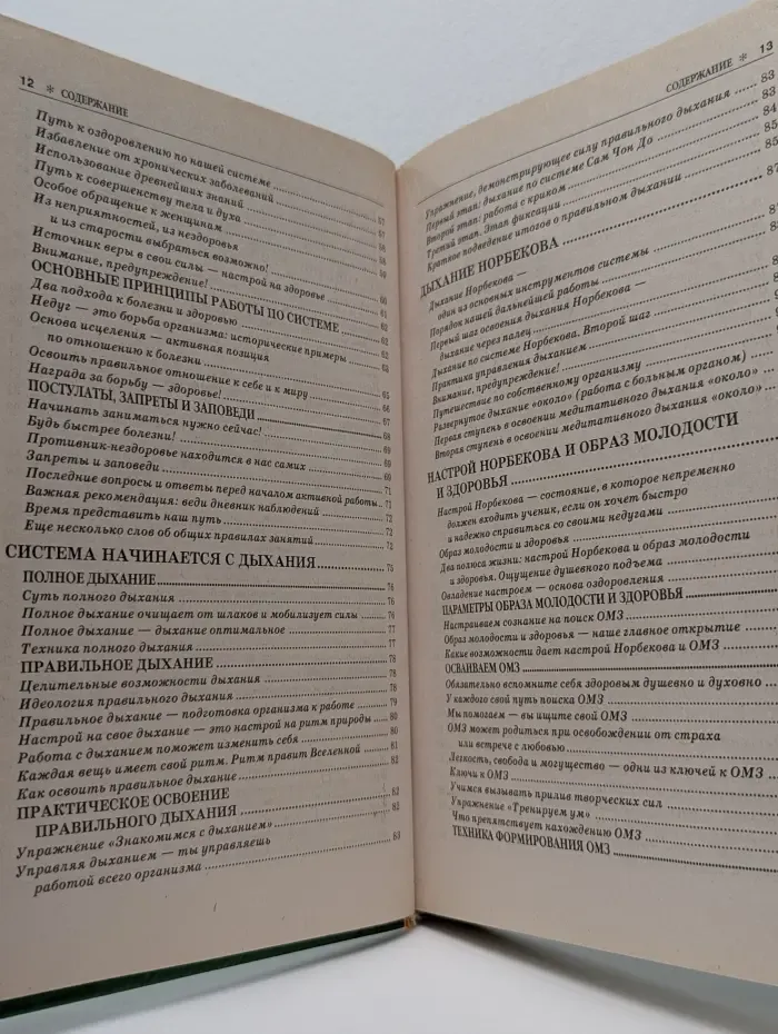 Великие целители мира. Система здоровья, которая помогла более 2 000 000 человек