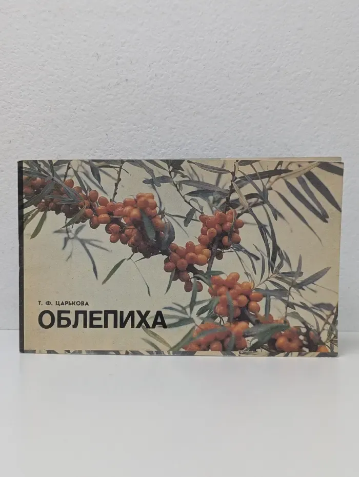 Облепиха