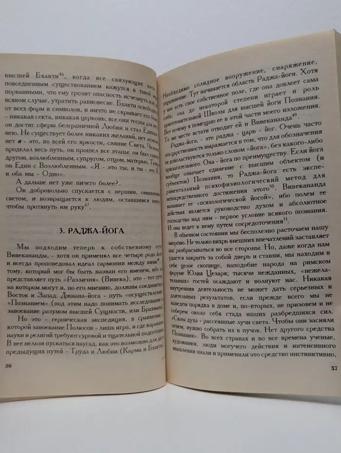 Вселенское евангелие Вивекананды. Опыт исследования мистики и духовной жизни современной Индии