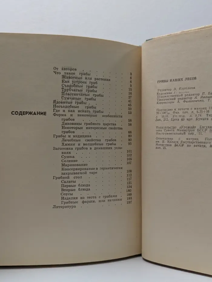 Грибы наших лесов