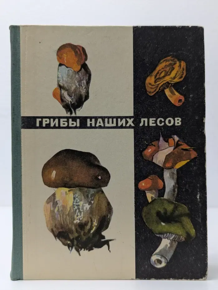 Грибы наших лесов
