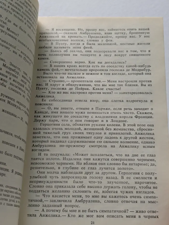 Анжелика и Дьяволица. Книга 1