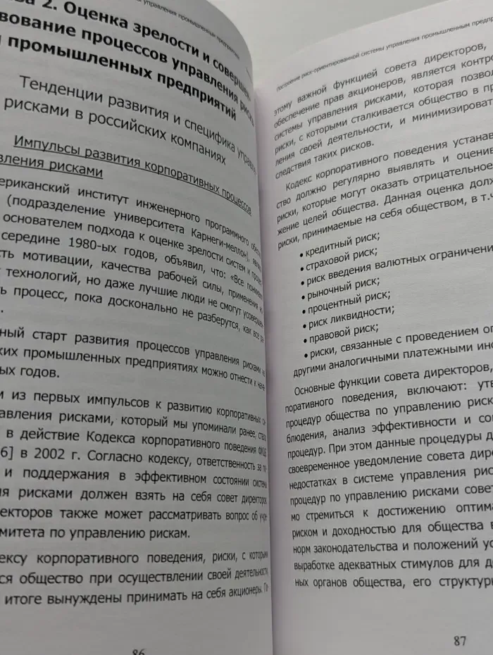 Построение риск-ориентированной системы управления промышленным предприятием
