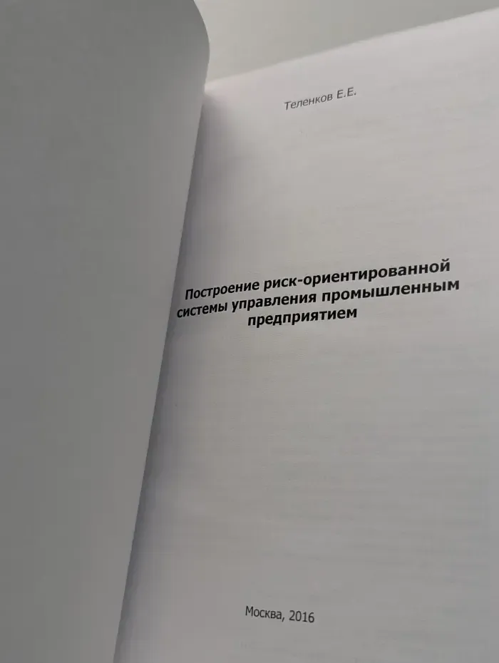 Построение риск-ориентированной системы управления промышленным предприятием