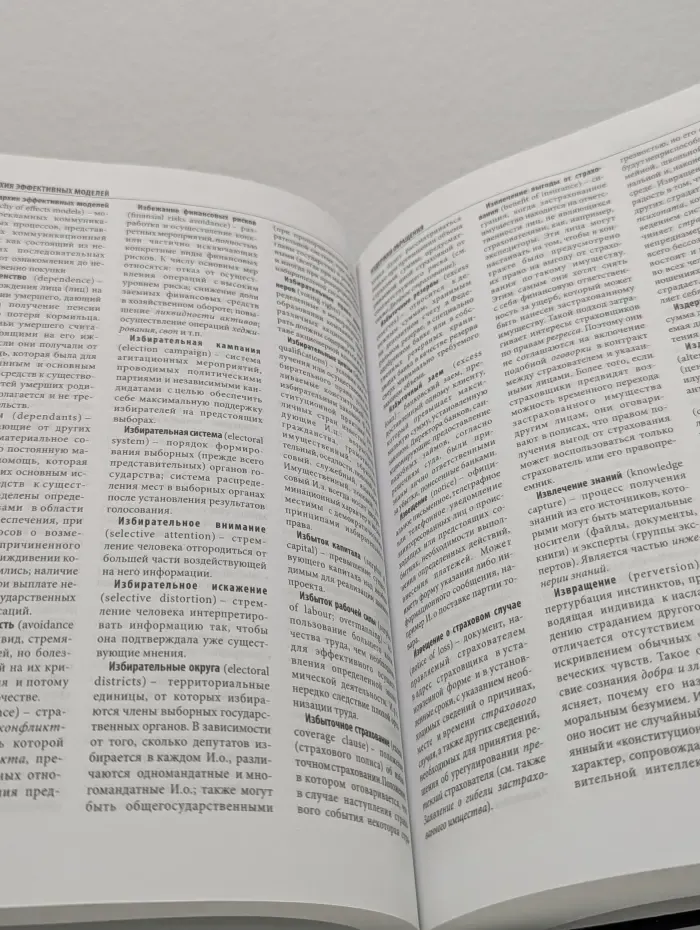 Экономика. Риски. Защита. Словарь-справочник