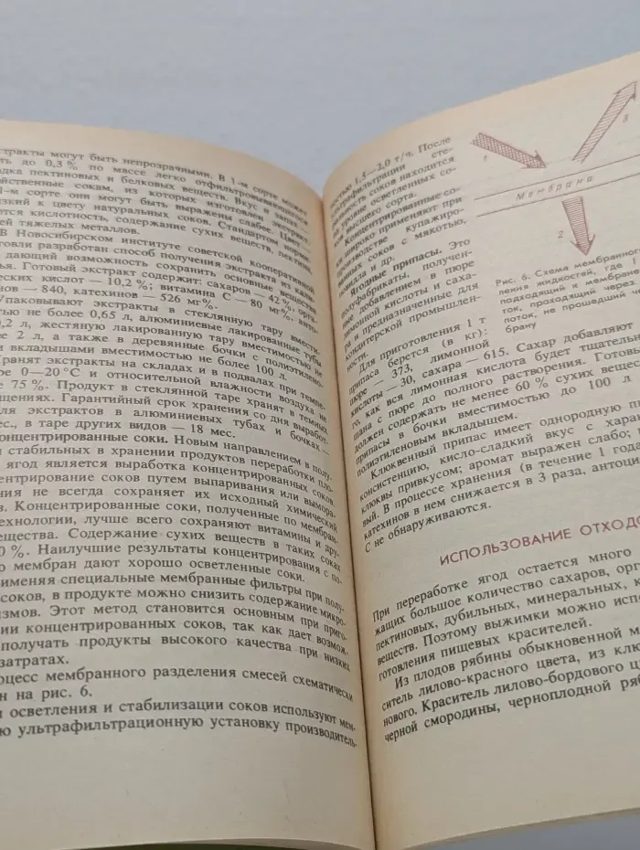 Заготовки, хранение и переработка дикорастущих ягод и грибов
