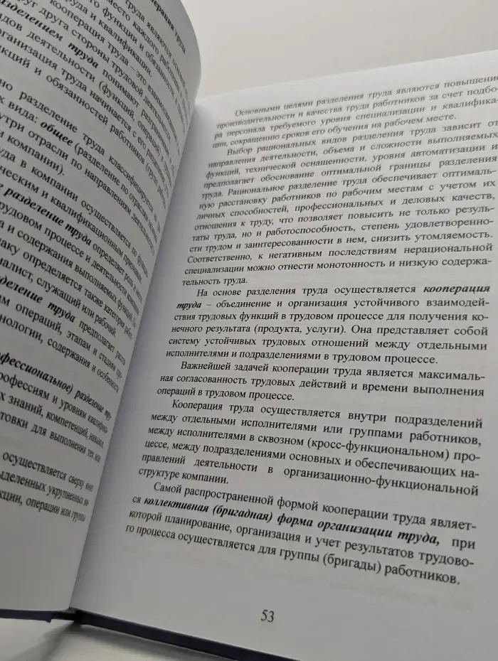 Организационный дизайн. Управление трудовыми ресурсами и организационной структурой