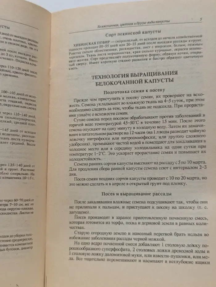 Технология выращивания овощей. Белокочанная, цветная и другие виды капусты