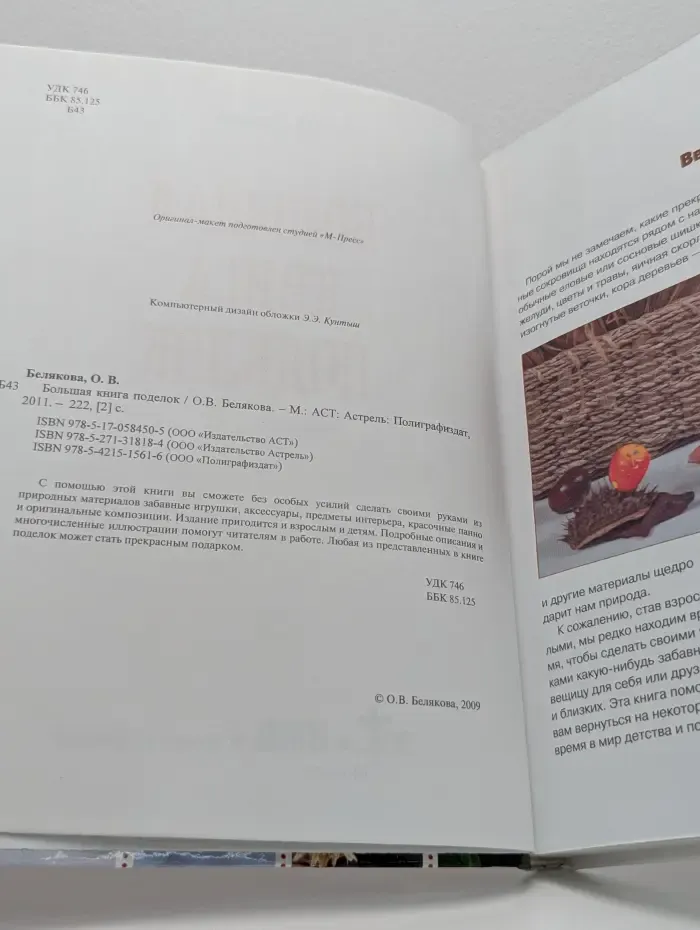 Большая книга поделок