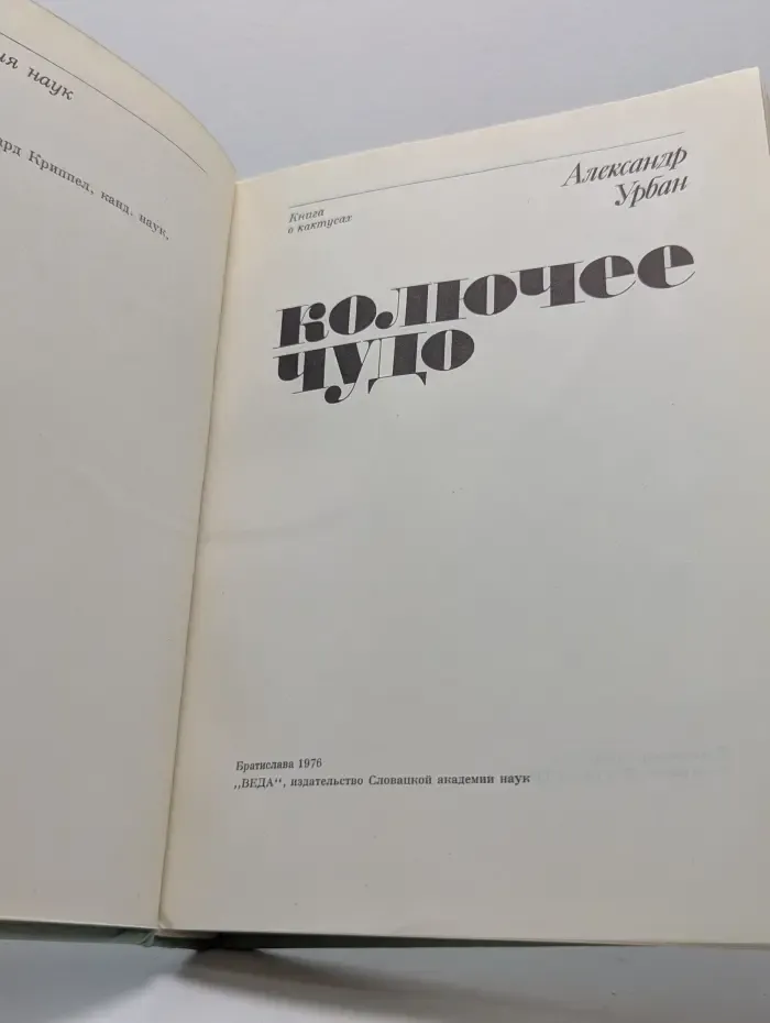 Колючее чудо