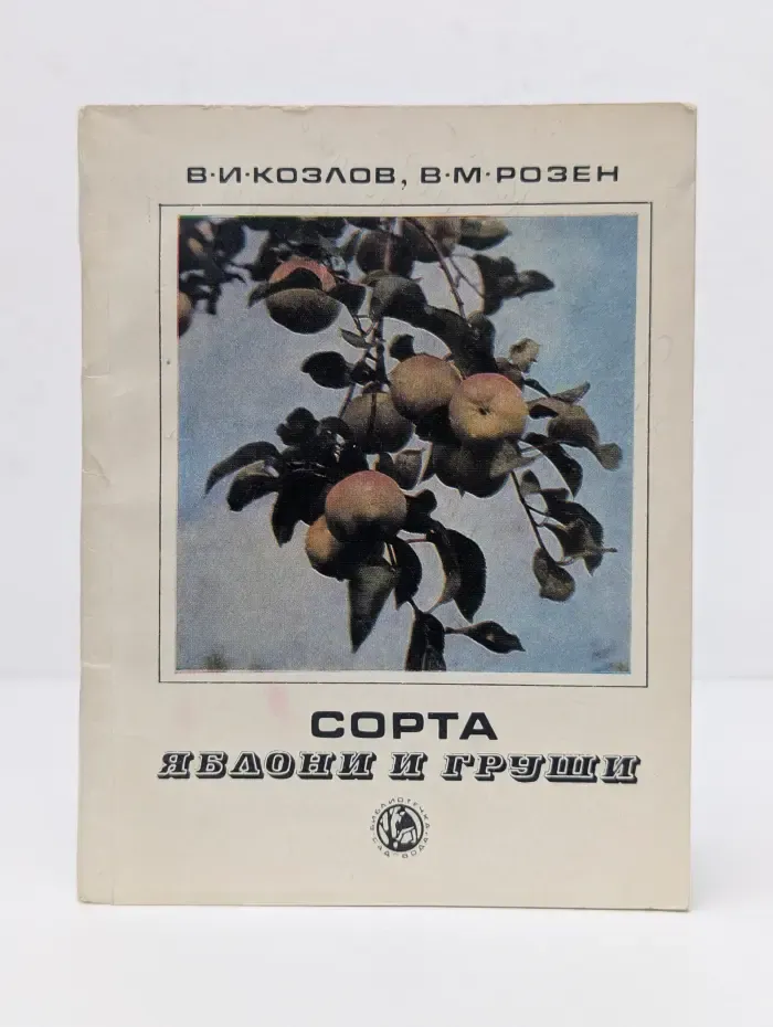 Сорта яблони и груши для Нечернозёмной зоны
