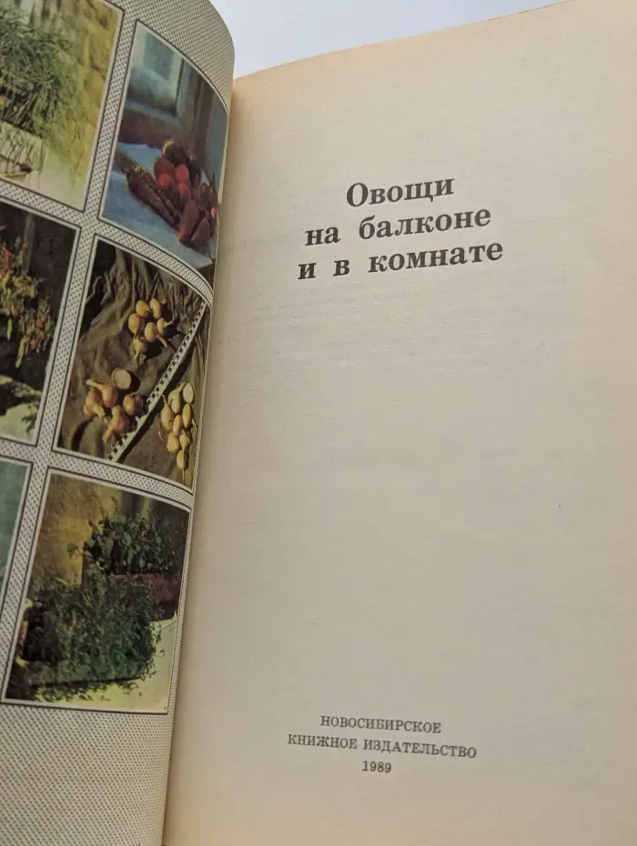 Овощи на балконе и в комнате