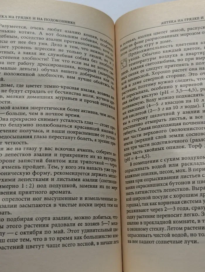 Аптека на грядке и на подоконнике