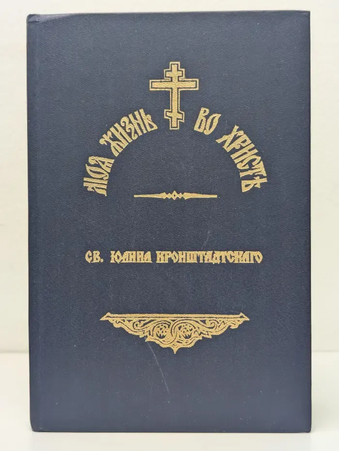 Моя жизнь во Христе. Том 1