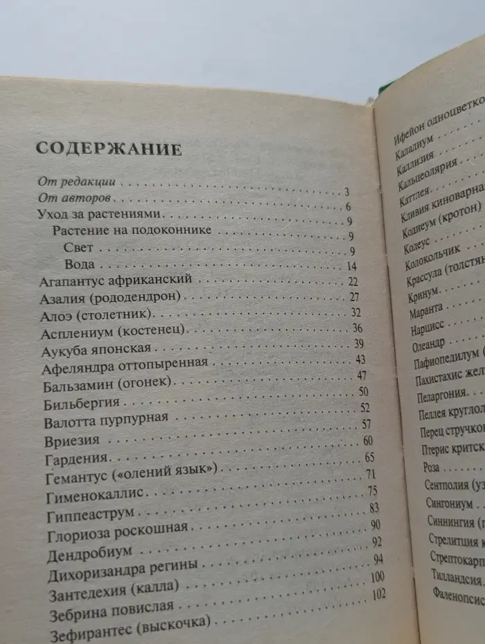 Все о домашних цветах