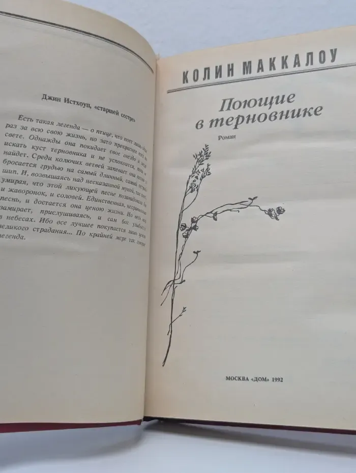 Семейный роман. Поющие в терновнике