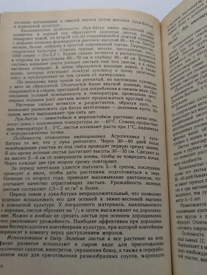 Целебные овощные растения
