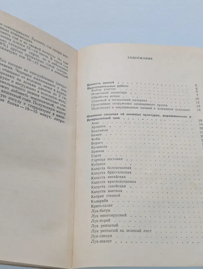 Овощи на приусадебном участке