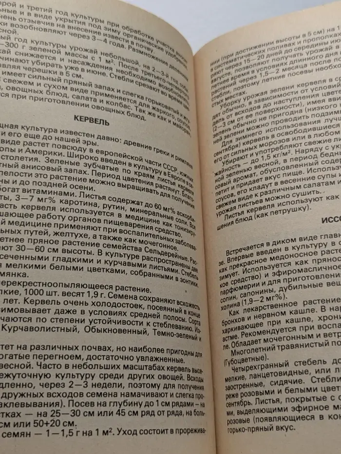 Витамины с грядки